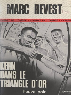 cover image of Kern dans le triangle d'or